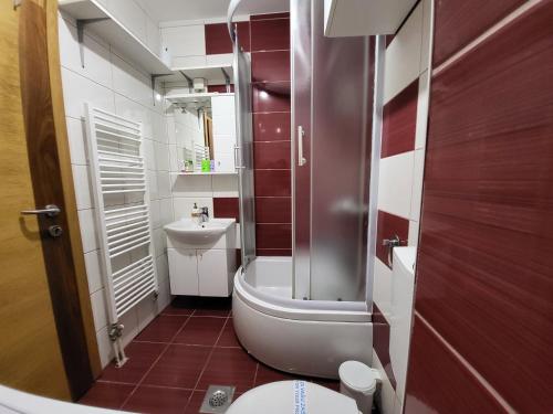 Baño pequeño con aseo y lavamanos en Apartman KostaS, en Lukavica