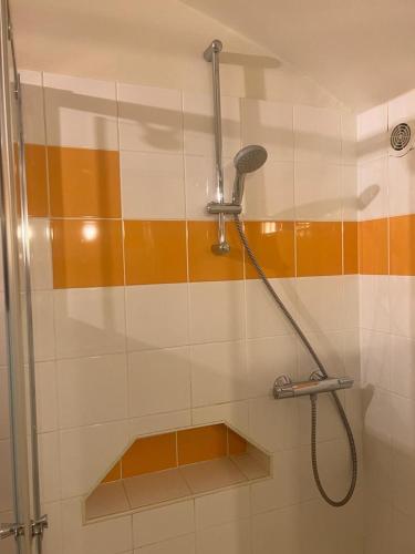 une douche avec un tuyau dans une salle de bain dans l'établissement Le Grand Monarque Donzy, à Donzy