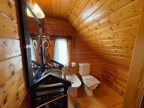 baño con aseo y lavamanos en una cabaña de madera en Chalet Επισκοπικό Ιωάννινα Ξύλινο σπίτι σε κτήμα 