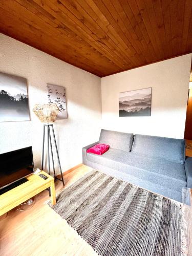 a living room with a bed and a rug at RISOUL - Les Airelles - 6 à 8 couchages - Rue principale/ commerçante in Risoul