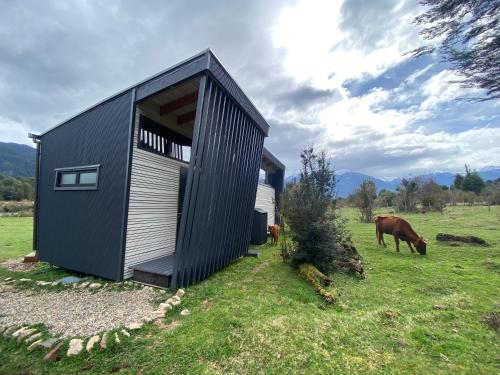 a black shed with a cow grazing in a field at Aysén Lodge - Cabaña con Tinaja in Puerto Dunn