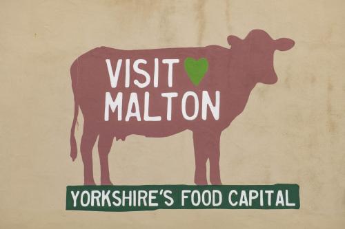 a poster of a cow with the words visitilation at 1 School Lane in Malton