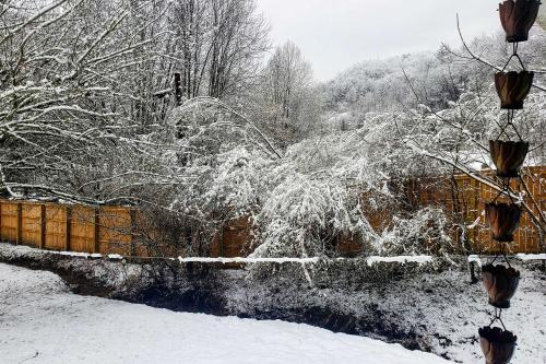 a snow covered yard with a fence and trees at Bring a Pet Smoky Mtn Vacation Rental with Yard! in Whittier