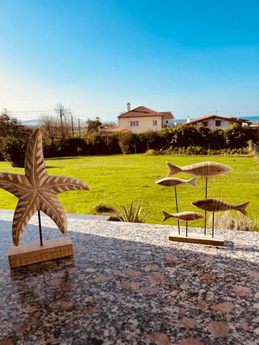 Alojamientos Robustiana