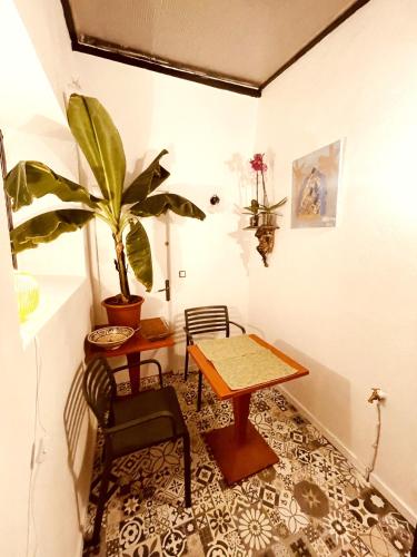 a room with a table and a potted plant at Casa les bambous in Nîmes