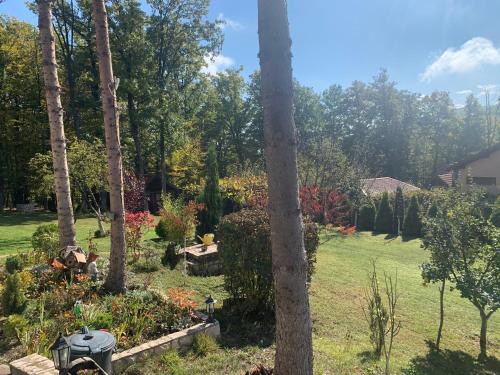 a garden with trees and flowers in a yard at Villa Gagula in Sarajevo