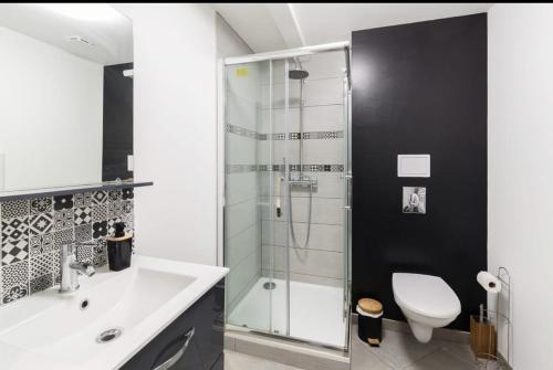 ein Bad mit einer Dusche, einem Waschbecken und einem WC in der Unterkunft Bienvenue à Reims type studio charmant et lumineux 2eme étage in Reims