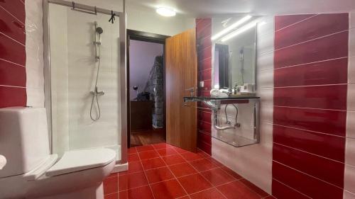 a bathroom with a toilet and a shower with red tiles at Villa Camacho xxvii in Arco da Calheta