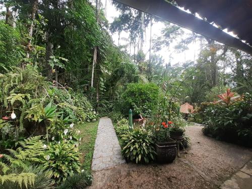 a garden with flowers and plants in a greenhouse at Toca da Onça in Penedo