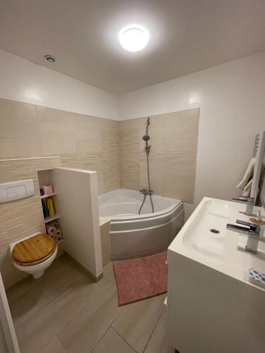 une salle de bain avec une baignoire, des toilettes et un lavabo dans l'établissement Bel Appartement Grande Terrasse avec parking à Dijon, à Dijon