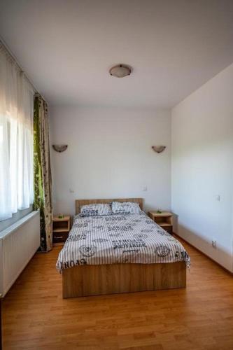a bedroom with a bed in a white room at Pensiunea Sasha in Bîrnova