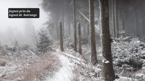 a snow covered forest with a sign that readsrosisips off signal beemer at La Mara Élo in Sart-lez-Spa