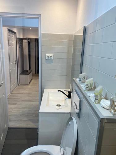 een badkamer met toilet en wastafel bij Double D Apartments in Lupeni