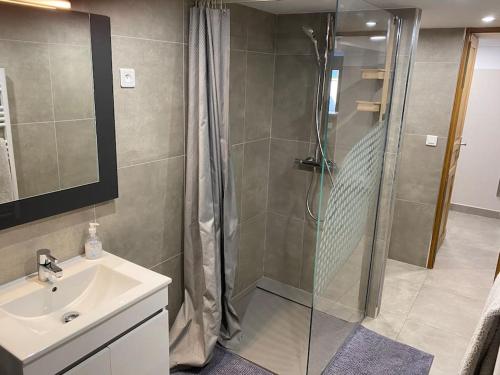 een badkamer met een douche en een wastafel bij CLICHY SOUS BOIS APPARTEMENT RÉCENT & CHALEUREUX in Clichy-sous-Bois