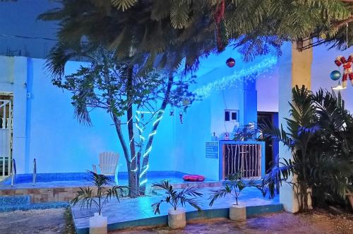 a blue building with a tree in front of it at Blue Coconut Cancun Hotel in Canc&uacute;n