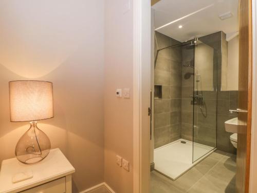 a bathroom with a shower and a toilet and a lamp at Helton Fell in Kendal