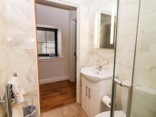 a bathroom with a shower and a sink and a toilet at Laharn Cottage in Killorglin