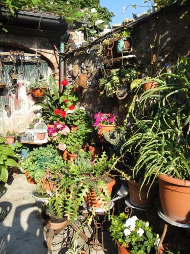a bunch of potted plants on a wall at The Tower Of The Old King in Desenzano del Garda