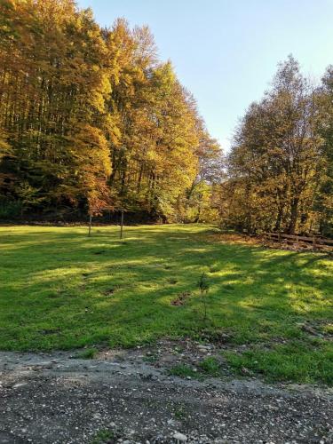 a large grass field with trees in the background at Fontana erdélyi vendégház in Odorheiu Secuiesc
