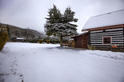 a snow covered yard next to a cabin with a tree at Chalúpka Rozprávkovo in Šumiac