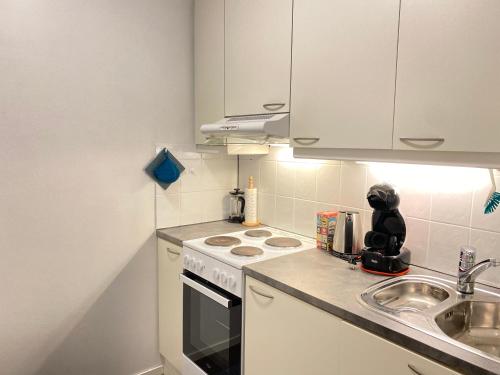 uma pequena cozinha com um fogão e um lavatório em Luhtikadun Studio Apartment em Lahti