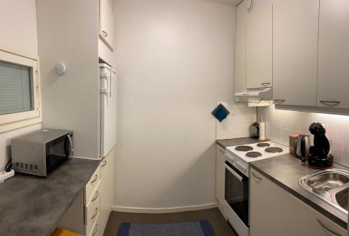 uma pequena cozinha com um lavatório e um micro-ondas em Luhtikadun Studio Apartment em Lahti