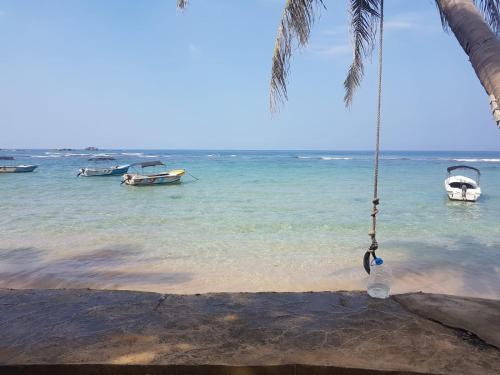 a swing hanging from a palm tree on a beach at Villa Sunny Days in Hikkaduwa