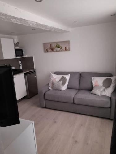 un salon avec un canapé et une cuisine dans l'établissement Studette centre historique refait à neuf 2022, à Fréjus