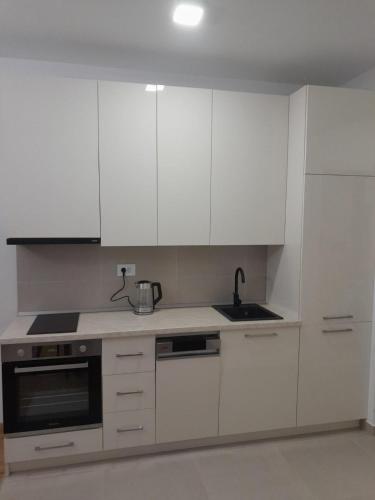 Küche/Küchenzeile in der Unterkunft Apartman Marija