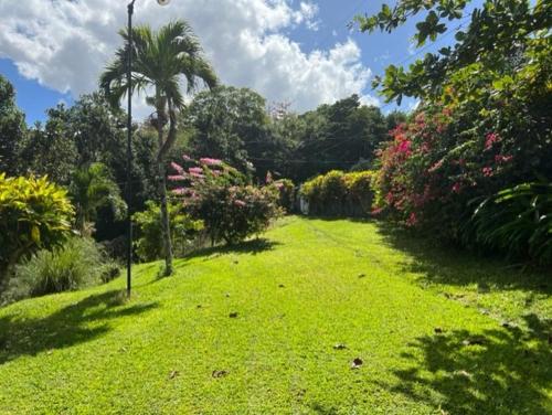 a garden with green grass and flowers and trees at Teresinajamaica in Saint Annʼs Bay