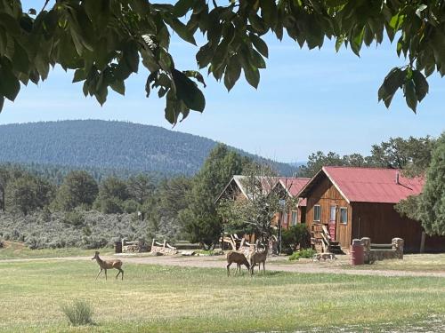 Stone House Lodge – Photos 4