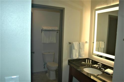 a bathroom with a toilet and a sink and a mirror at Wingate by Wyndham Valdosta/Moody AFB in Valdosta