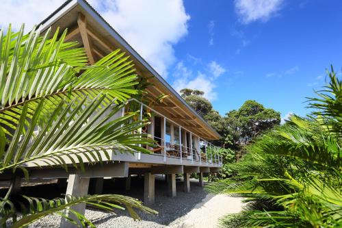 a house on the beach with palm trees around it at 泊まれるアートミュージアム 琉球ヴィラ in Tatsugo
