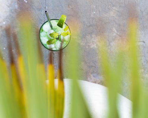 a close up of a martini glass with a drink at Villa Bluu Zanzibar in Jambiani
