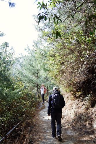 two people walking down a dirt trail in the woods at Dali Dream House with Seaview in Dali