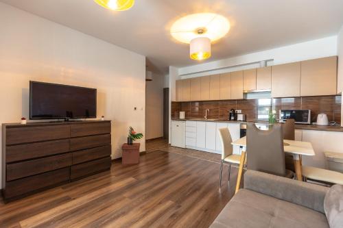 salon z telewizorem i kuchnią w obiekcie LÉO Apartment w Budapeszcie