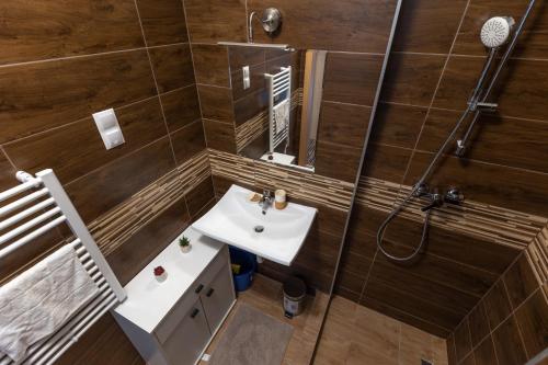 W łazience znajduje się umywalka i prysznic. w obiekcie LÉO Apartment w Budapeszcie