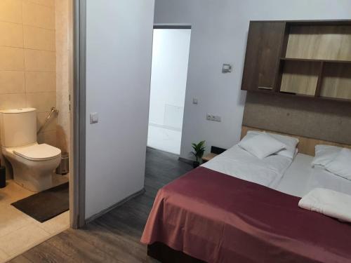 um quarto com uma cama e um WC em Vilă primitoare în Cihei ideală pentru grupuri. em Apateu