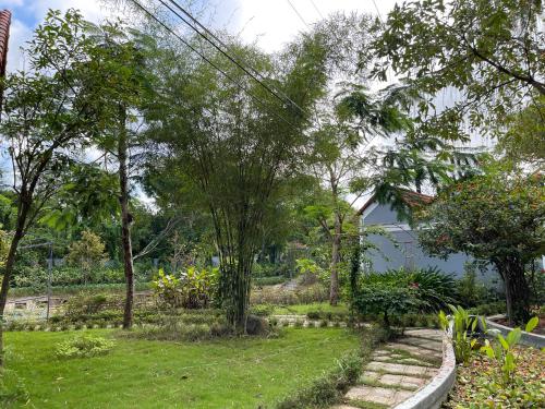 Taman di luar Son Home Garden