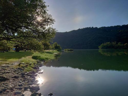 a view of a lake with trees and a mountain at DeerStar HomeStay B&B in Dongshan