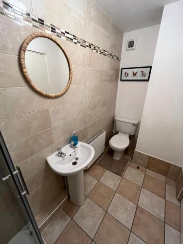 a bathroom with a sink and a toilet and a mirror at The D3 Self Catering in Dublin