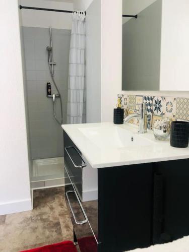 une salle de bain avec un lavabo et une douche dans l'établissement LE BILBAO, T2, centre-parking gratuit-terrasse, à Tarbes