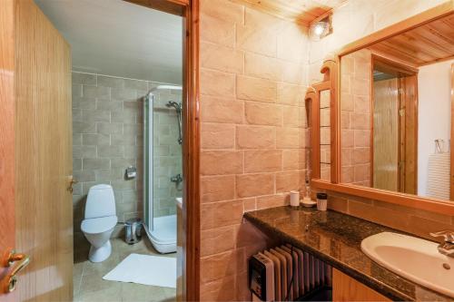 een badkamer met een wastafel, een toilet en een spiegel bij House Eufrosyne in Moutoullas