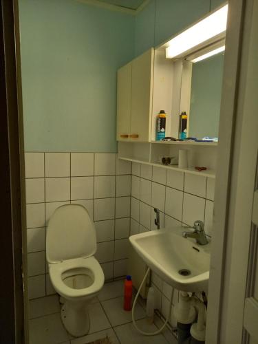 La salle de bains est pourvue de toilettes blanches et d'un lavabo. dans l'établissement Talo mäellä, à Juuka