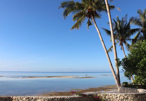 two palm trees on a beach with the ocean at Island View Beachfront Resort in Anda