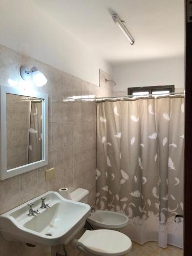 een badkamer met een wastafel, een toilet en een douchegordijn bij Calido y centrico monoambiente in Concordia