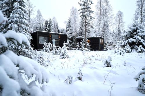 Unique Cabin with Breathtaking Northern Light View v zimě