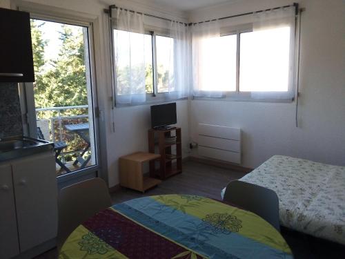 a bedroom with a bed and a tv and two windows at la Catalane in Vernet-les-Bains