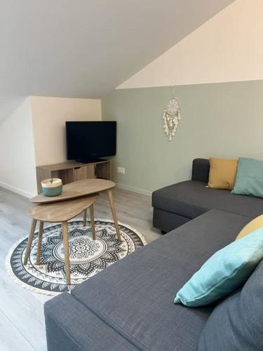 a living room with a couch and a table with a tv at Appartement du Château in Lunéville