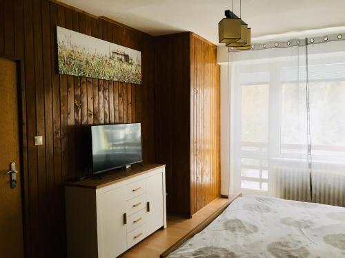 a bedroom with a bed and a television on a dresser at Apartmán Tomáš in Štrbské Pleso